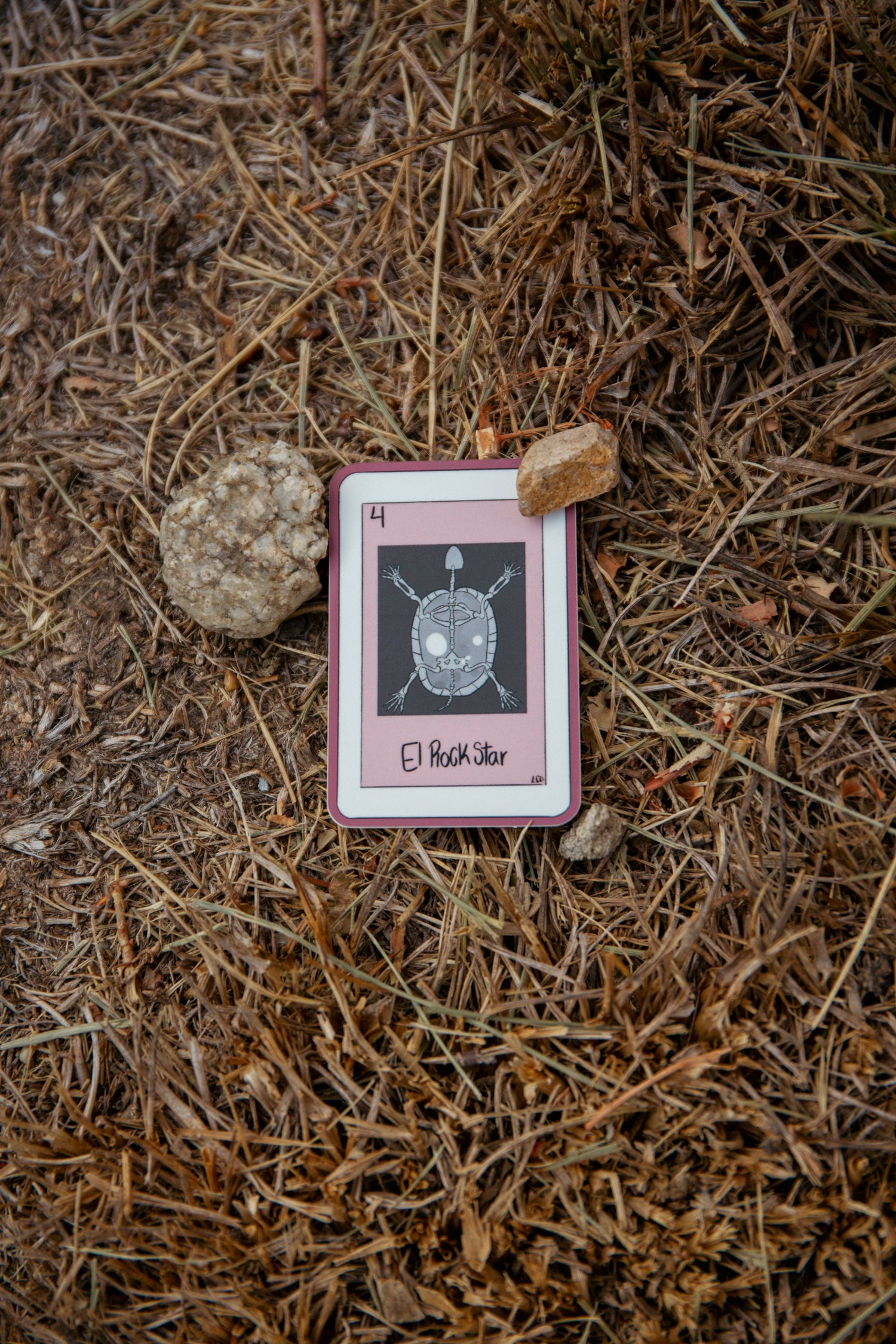 Vet Med/ Animal lovers