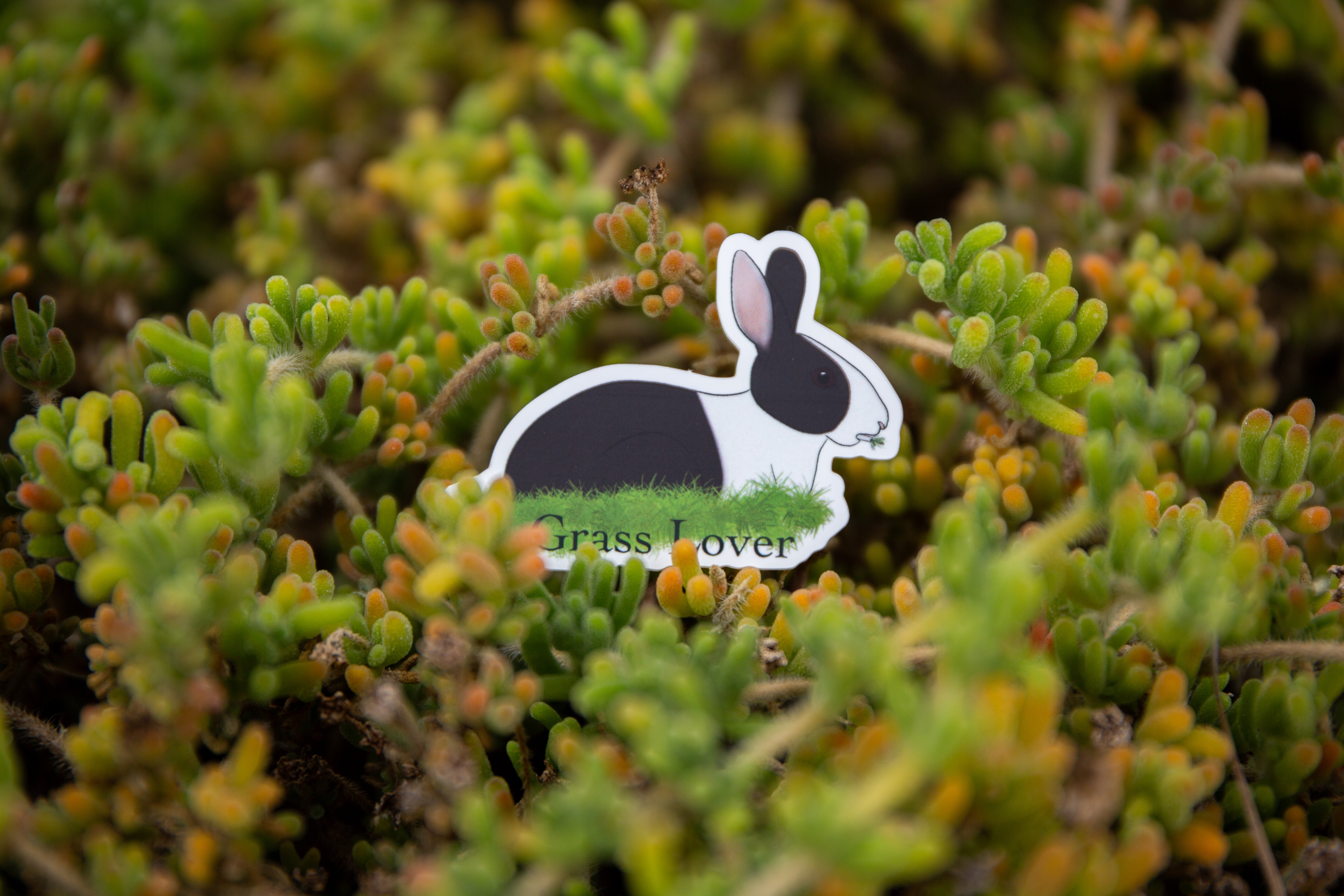 Grass Lover Bunny Vinyl Sticker