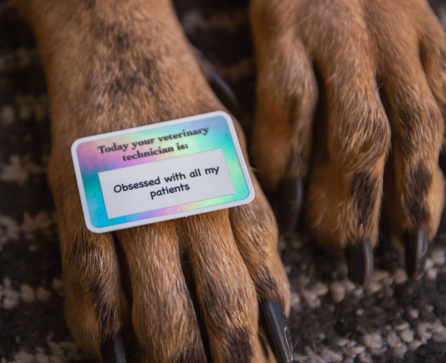 "Obsessed with my patients" Vet Nurse name tag