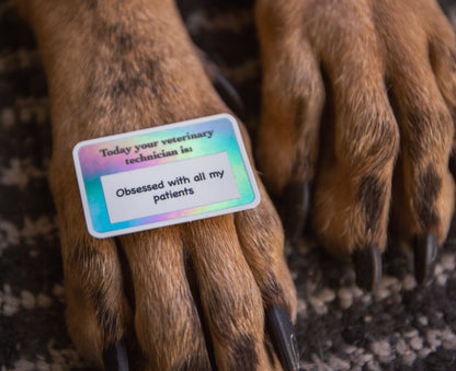 Obsessed with my patients-Vet Tech sticker