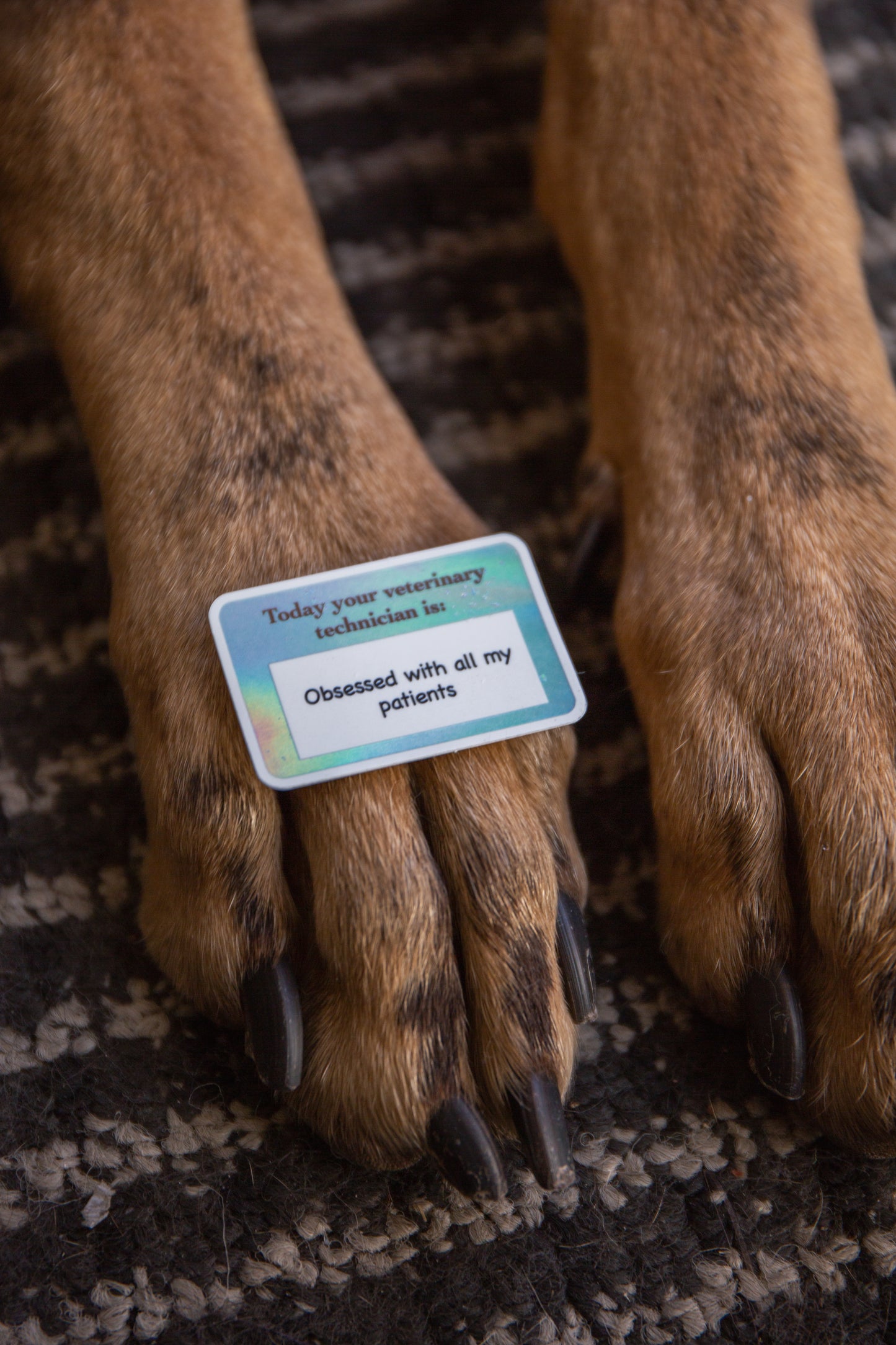 "Obsessed with my patients" Vet Nurse name tag