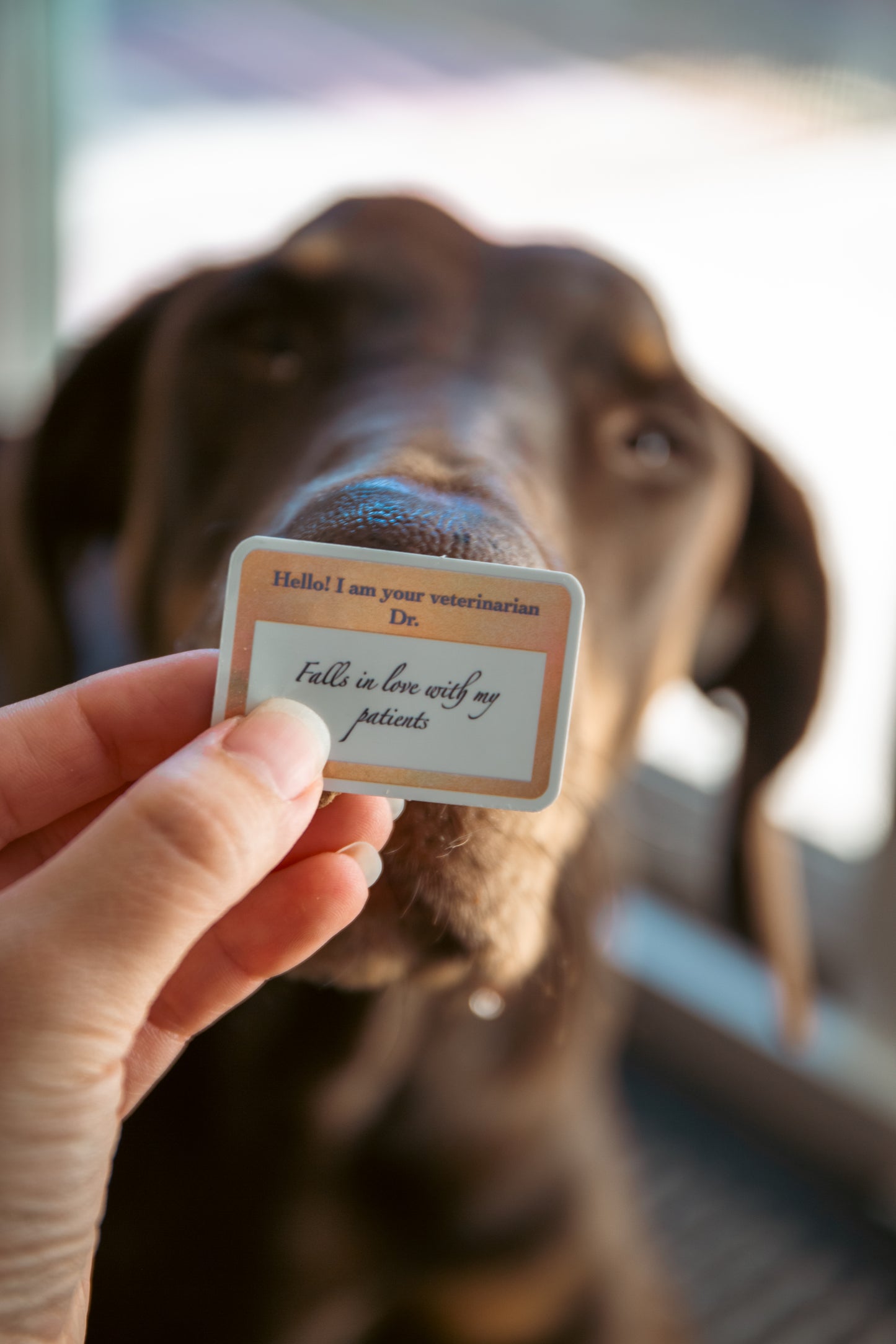 "In love with my patients" DVM name tag