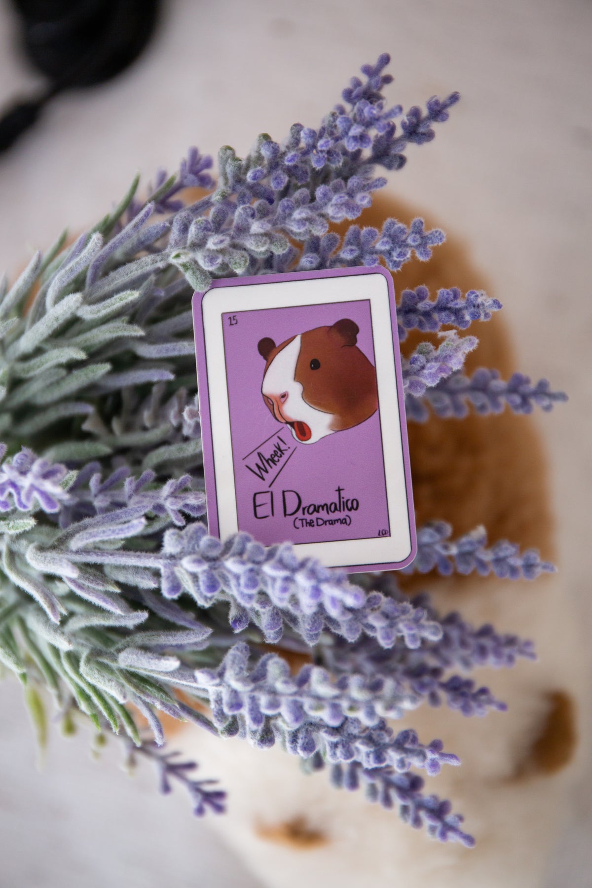 "El Dramático" Guinea Pig loteria sticker