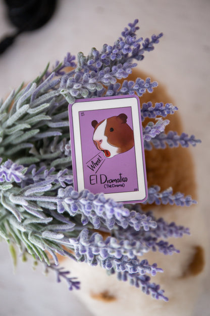 "El Dramático" Guinea Pig loteria sticker
