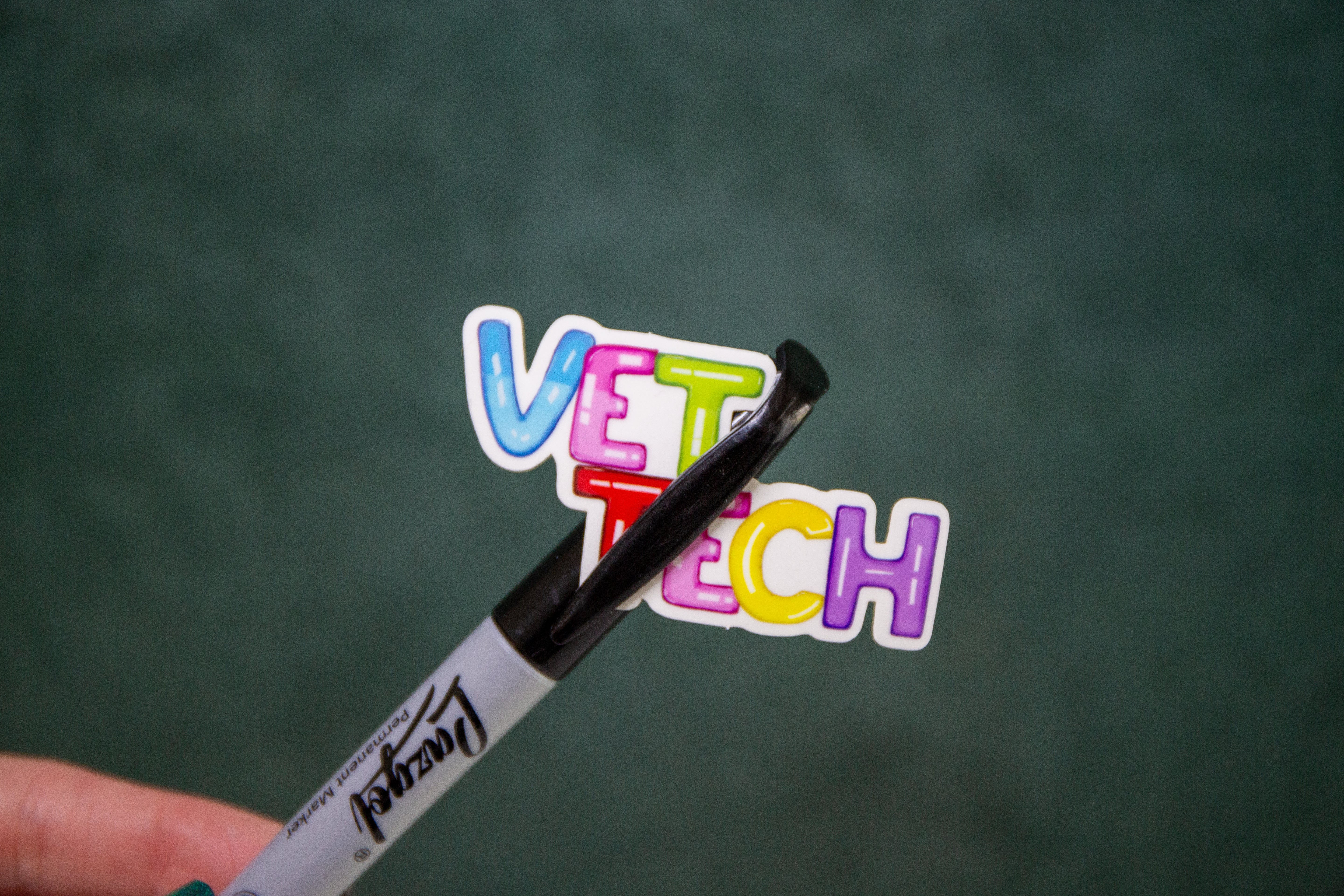 Vet Tech Transparent Candy Letter Sticker