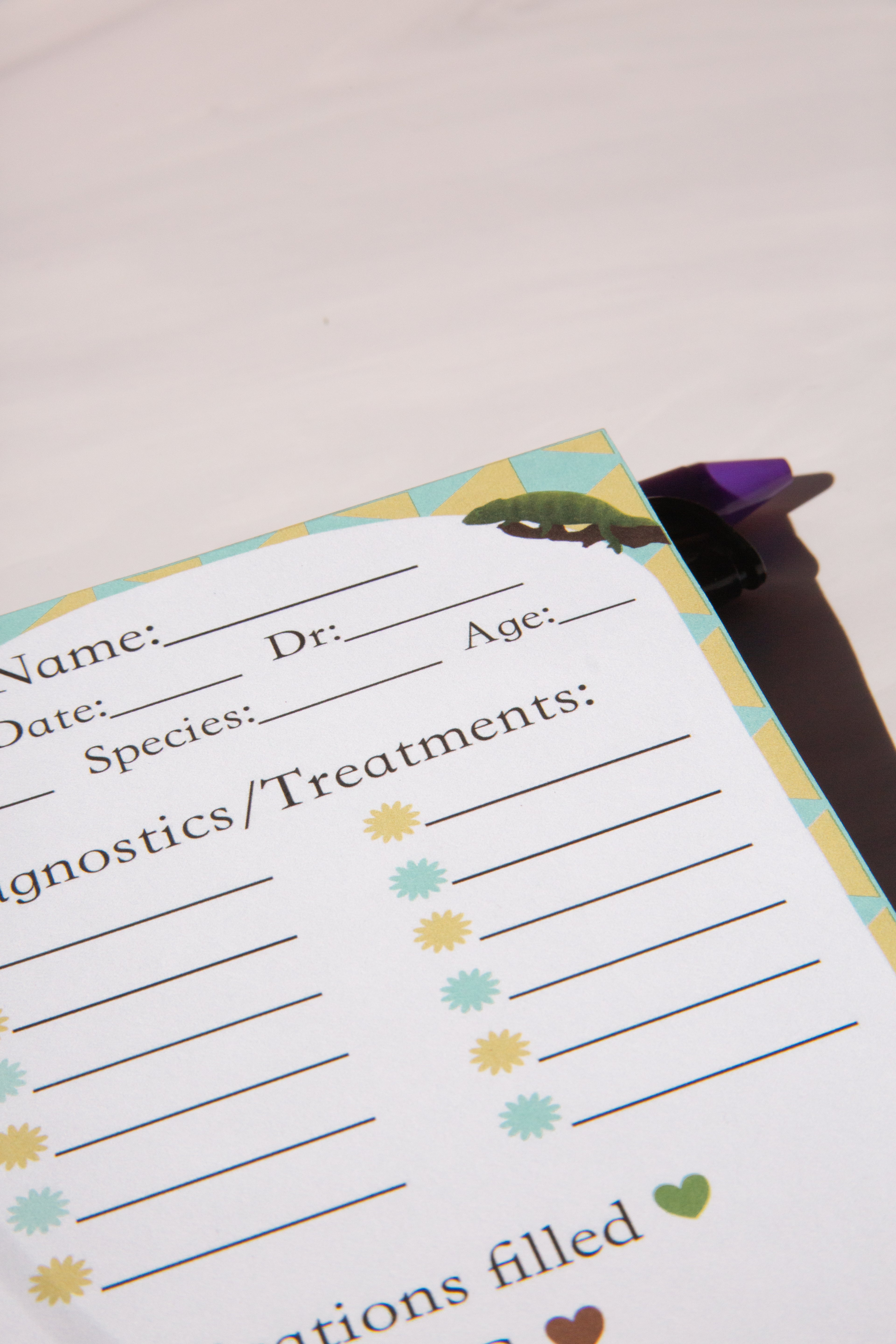 Treatment Notepad for Vet Techs