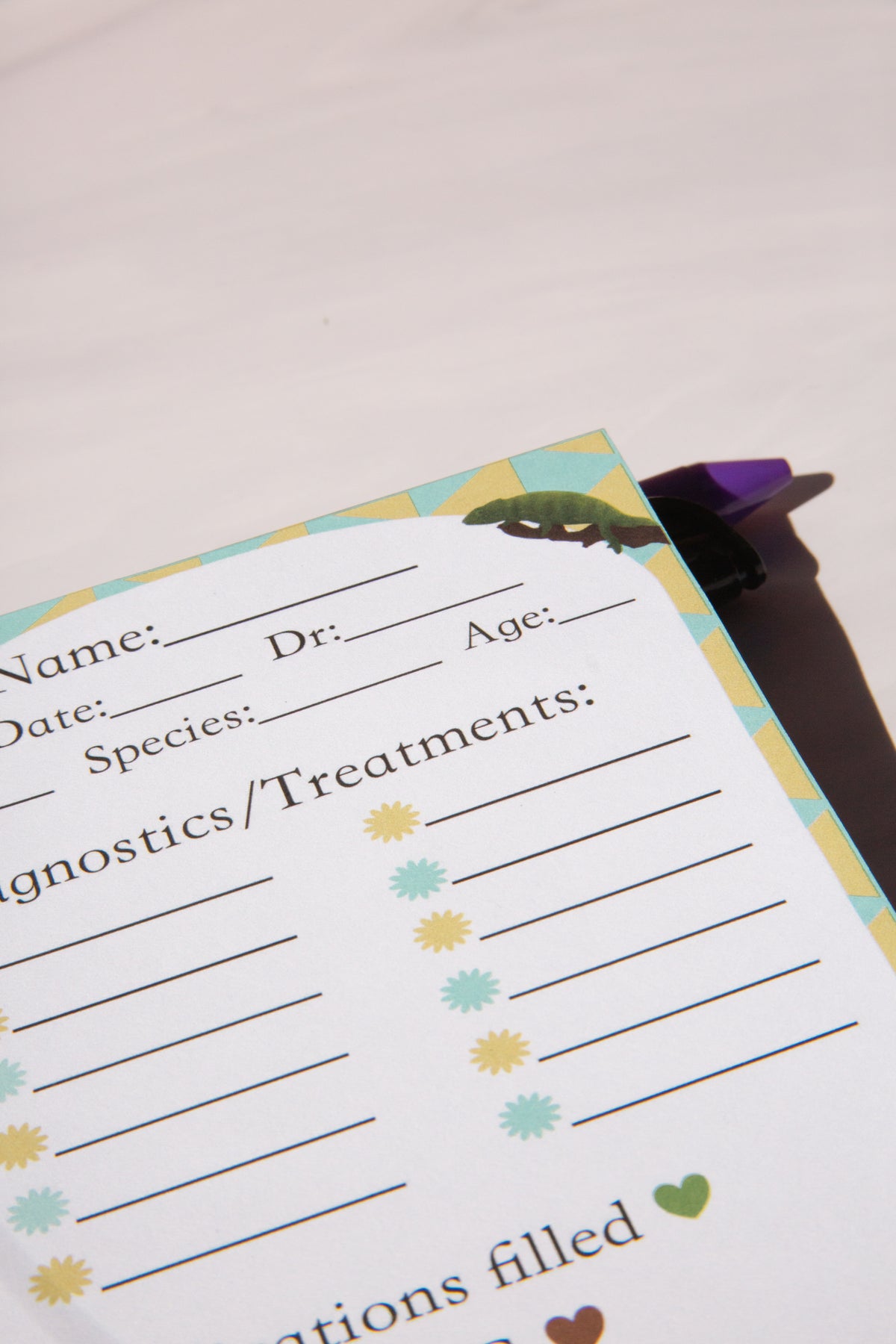 Treatment Notepad for Vet Techs