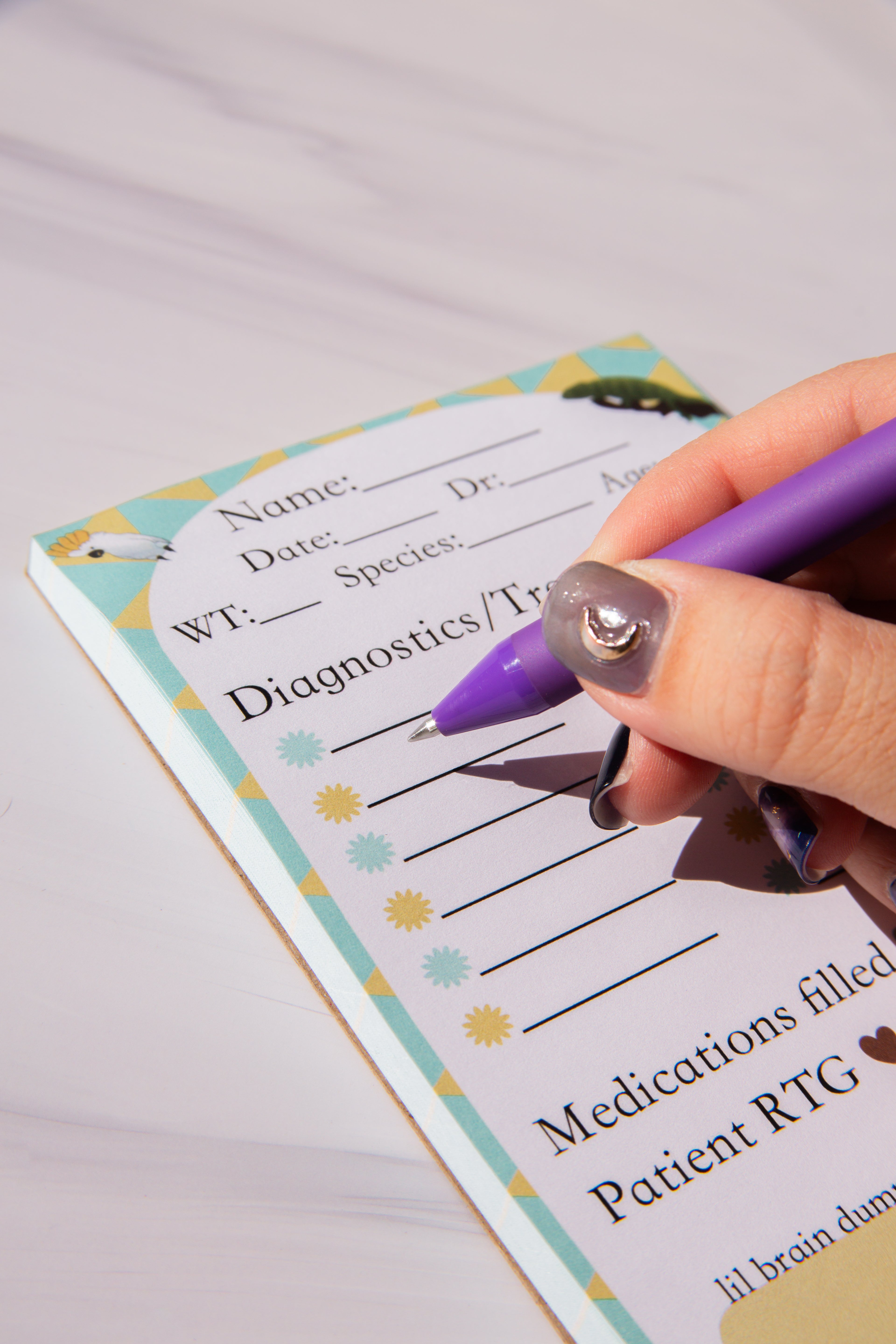 Treatment Notepad for Vet Techs