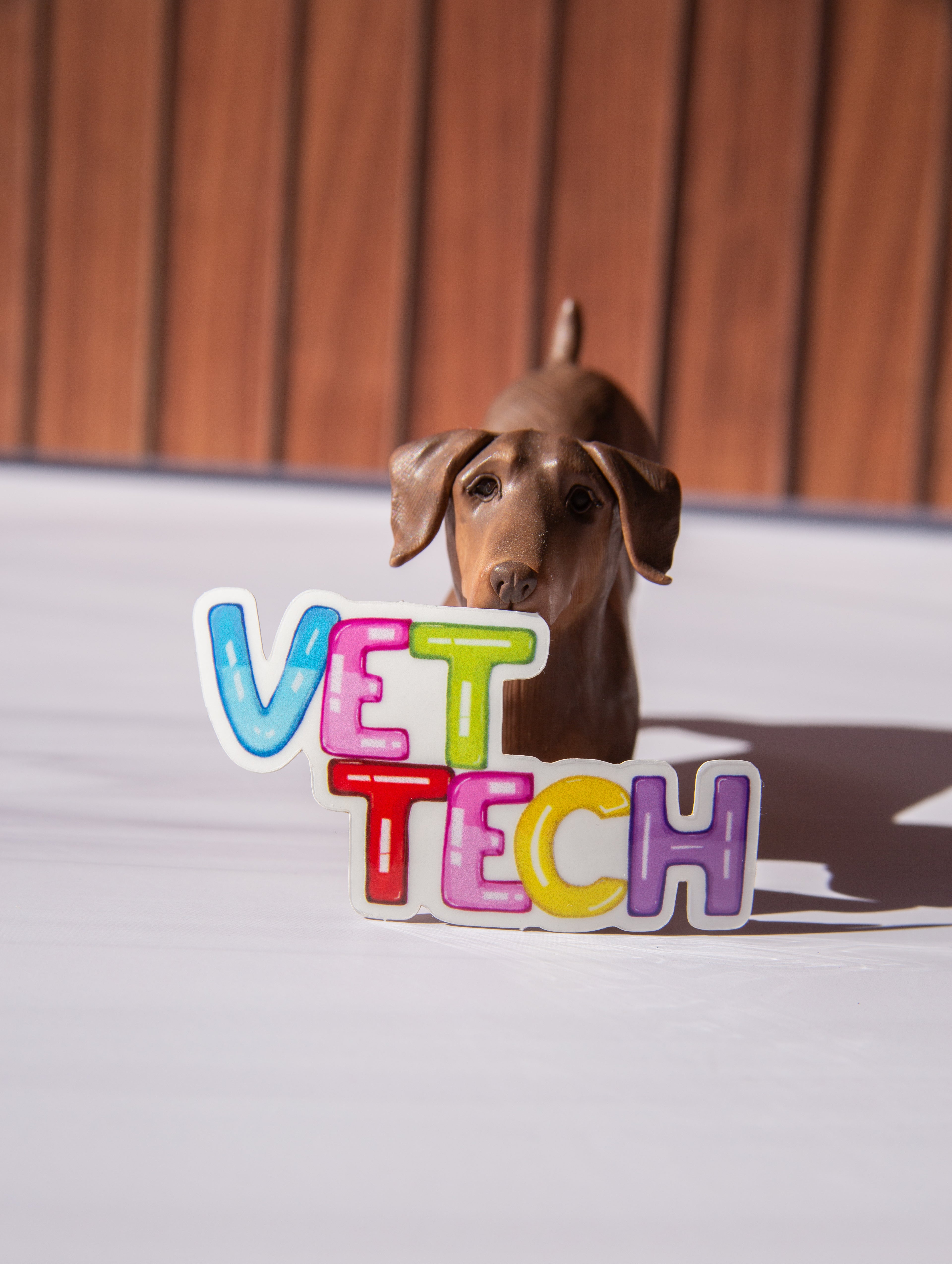 Vet Tech Transparent Candy Letter Sticker