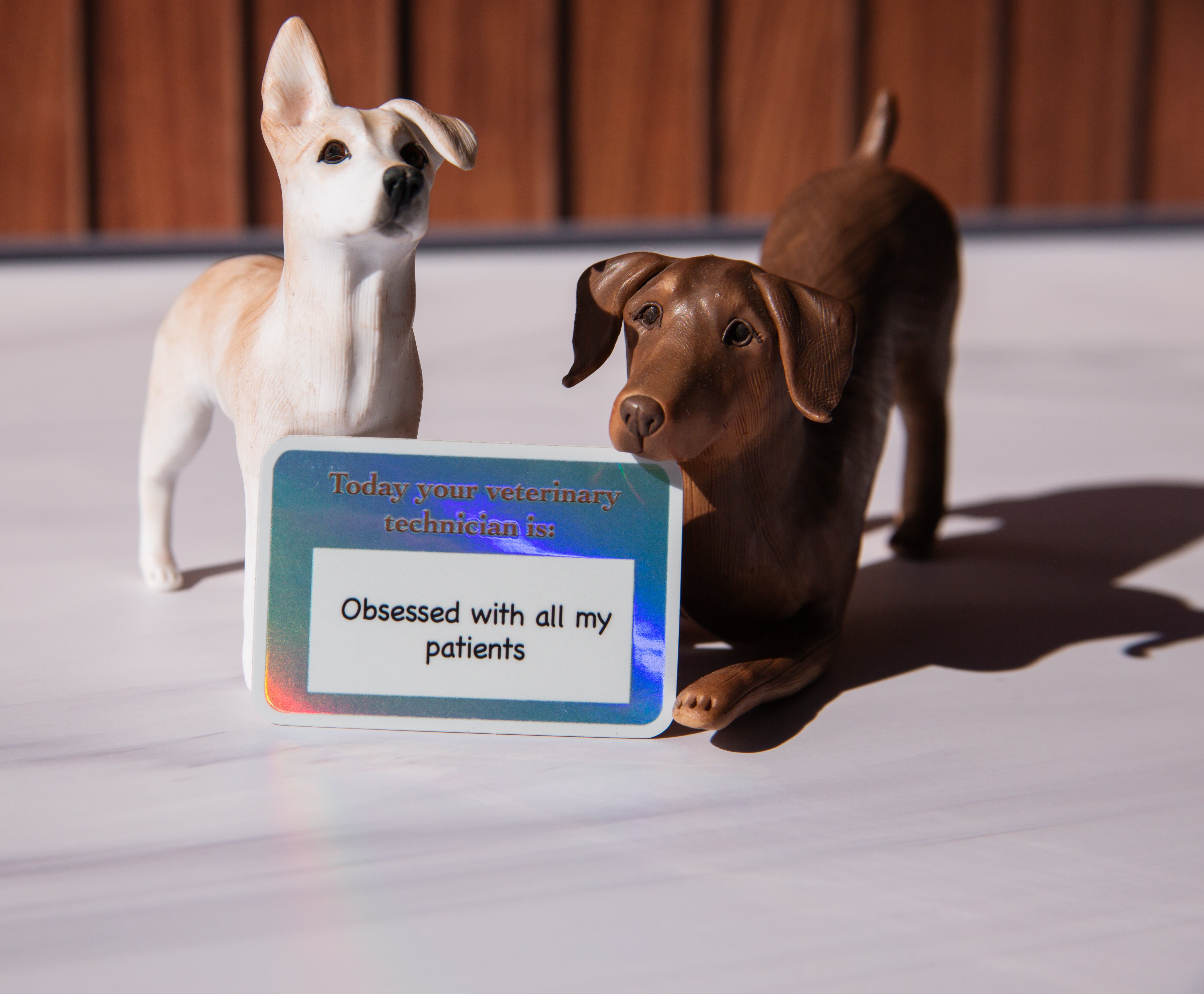 Obsessed with my patients-Vet Tech sticker