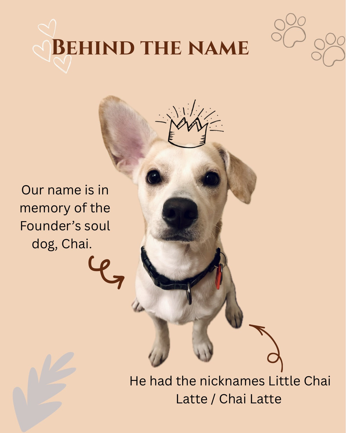 Cream color dog, sitting looking at the camera. It has one ear up and one ear down. Picture has text to the side of the dog that says ” our name is in memory of the Founder’s soul dog, Chai”  