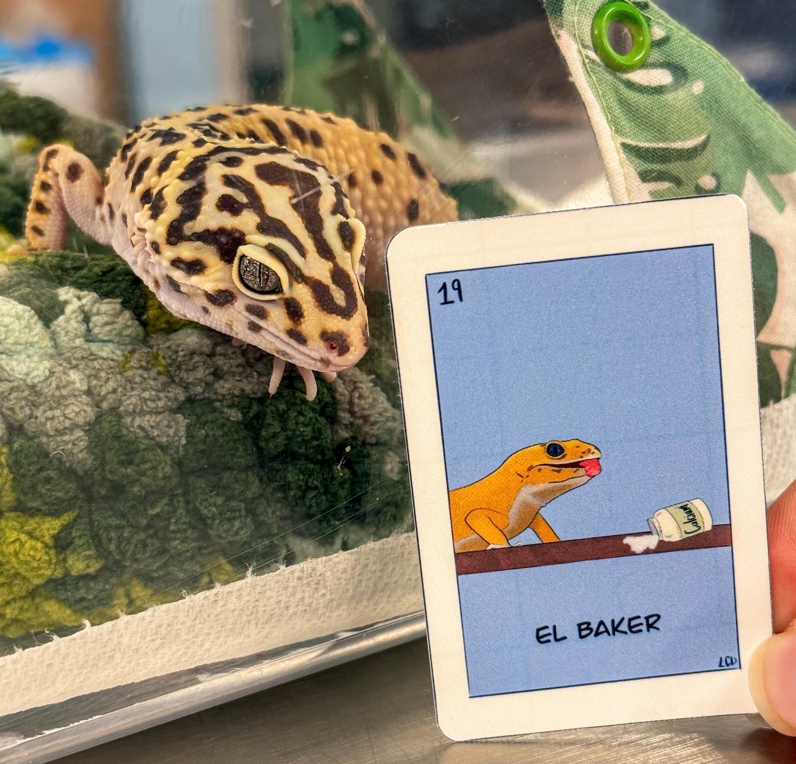 El Baker Leopard Gecko Vinyl Sticker