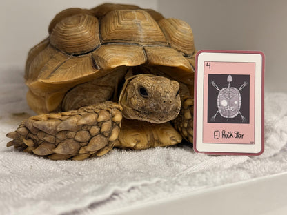 El Rockstar Turtle X-Ray Vinyl Sticker